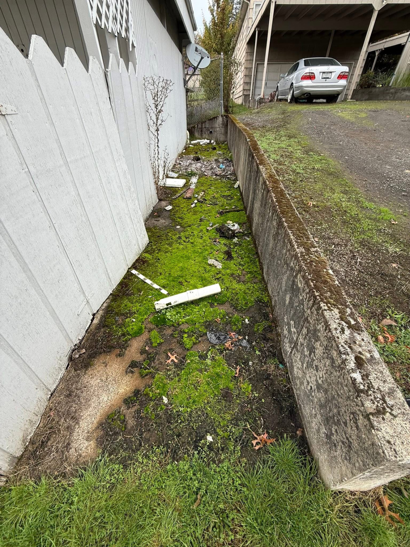 Side walkway buried under moss and debris before cleaning