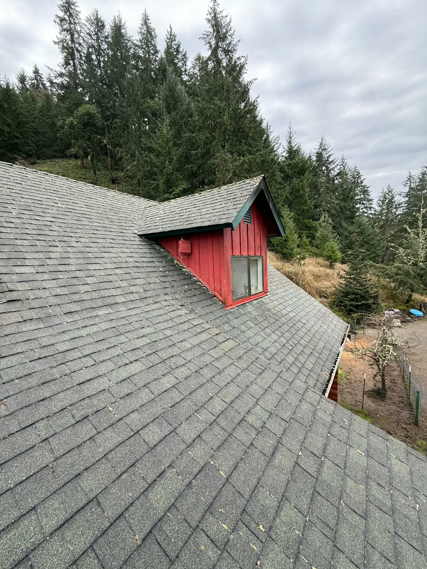 The same red dormer roof clear of moss after a soft wash