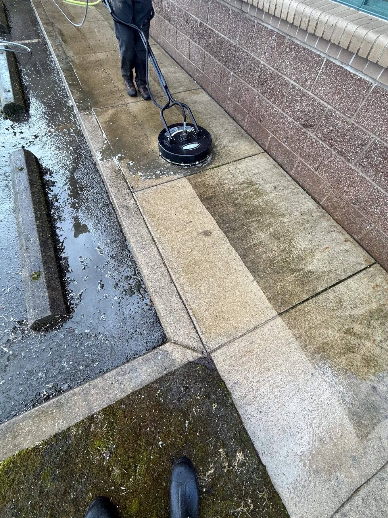 Commercial sidewalk being surface cleaned, moss stripped back to bare concrete
