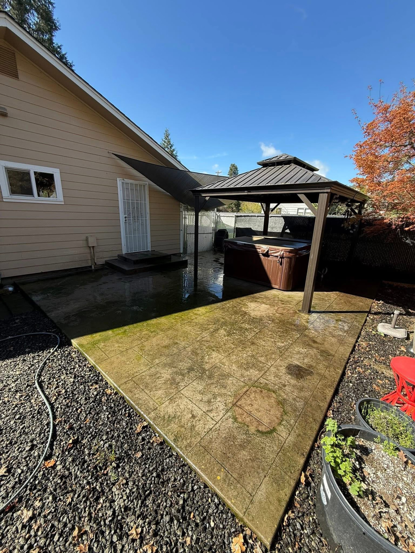 Moss-covered stamped concrete patio before exterior cleaning